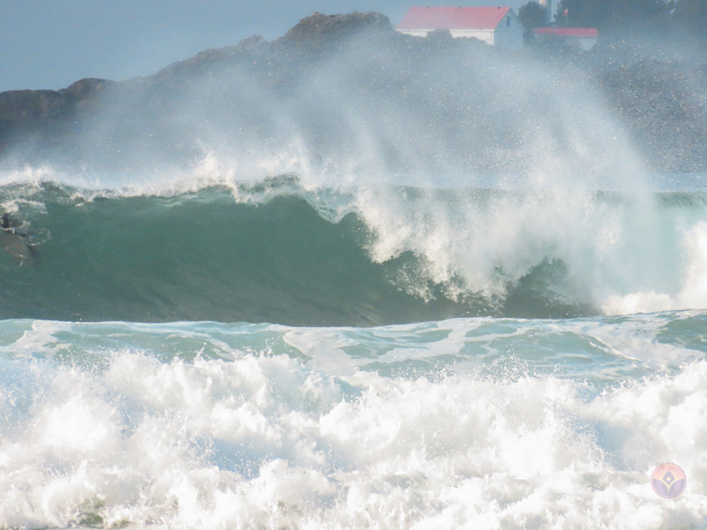 Surf Captures:  2024.12.02 Cox Bay, Tofino, Canada