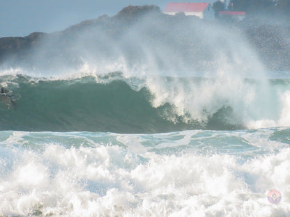 Surf Captures:  2024.12.02 Cox Bay, Tofino, Canada