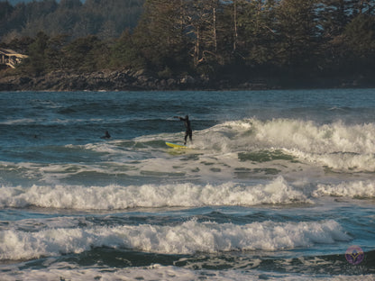 Surf Captures:  2024.12.02 Cox Bay, Tofino, Canada
