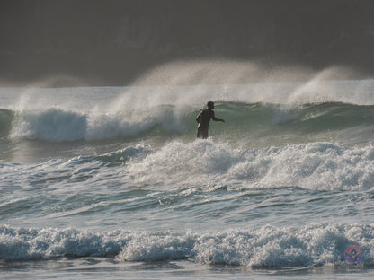 Surf Captures:  2024.12.02 Cox Bay, Tofino, Canada