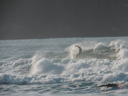Surf Captures:  2024.12.02 Cox Bay, Tofino, Canada
