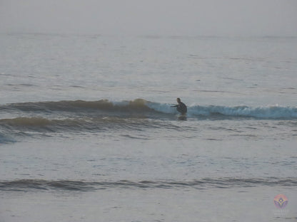 Surf Captures:  2024.12.08 Bolinas, California, USA
