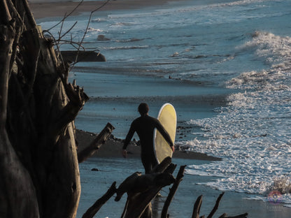 Surf Captures:  2024.12.08 Bolinas, California, USA