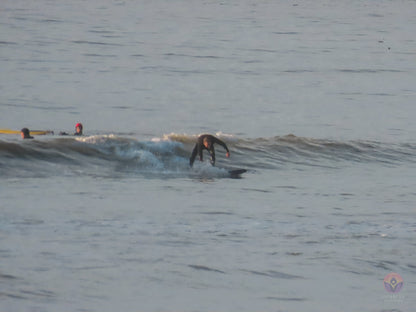 Surf Captures:  2024.12.08 Bolinas, California, USA