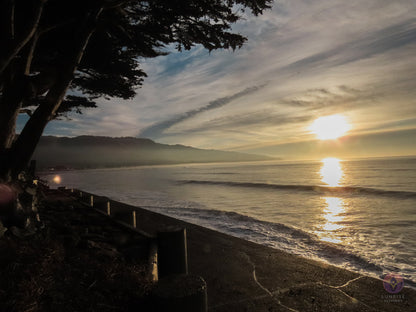 Surf Captures:  2024.12.08 Bolinas, California, USA