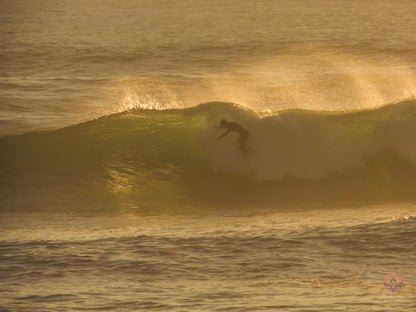 Surf Captures:  2024.12.09 4Mile, California