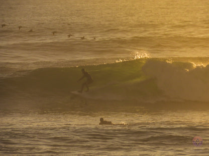 Surf Captures:  2024.12.09 4Mile, California