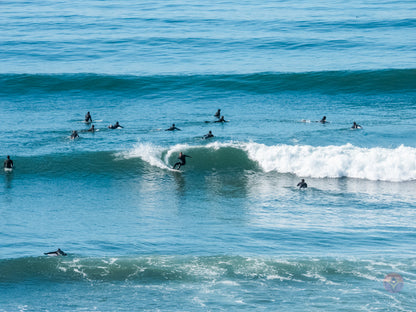 Surf Captures:  2024.12.16 Swamis, California