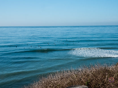 Surf Captures:  2024.12.16 Swamis, California