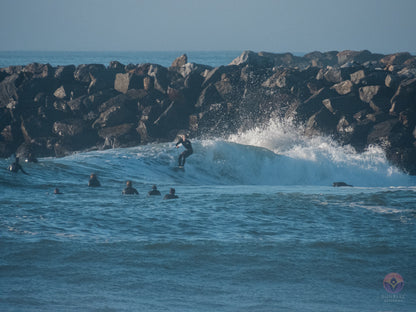 Surf Captures:  2024.12.18 Dog Beach, Ocean Beach, California