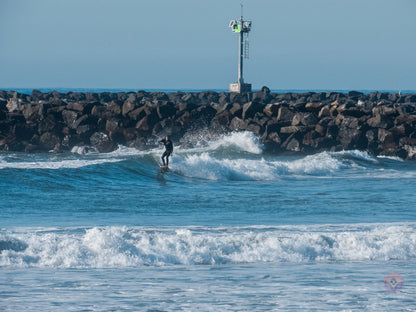Surf Captures:  2024.12.18 Dog Beach, Ocean Beach, California