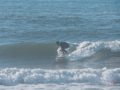 Surf Captures:  2024.12.18 Dog Beach, Ocean Beach, California