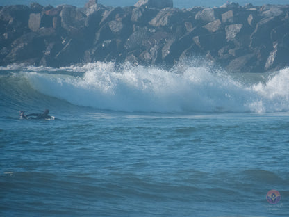 Surf Captures:  2024.12.18 Dog Beach, Ocean Beach, California