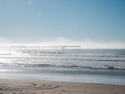 Surf Captures:  2024.12.18 Dog Beach, Ocean Beach, California