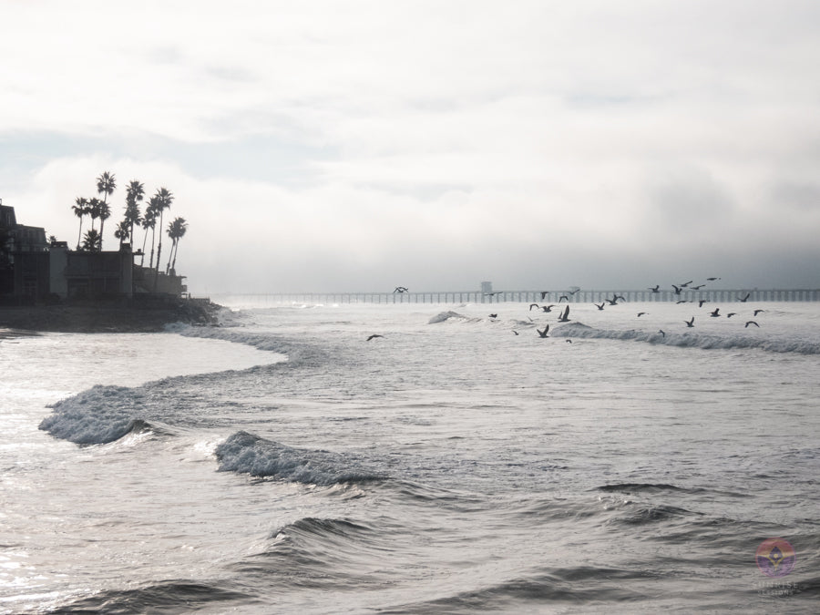 Surf Captures:  2025.01.01 Oceanside, California