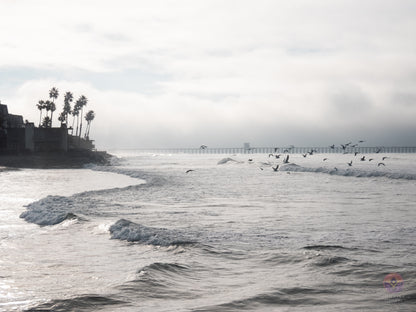 Surf Captures:  2025.01.01 Oceanside, California