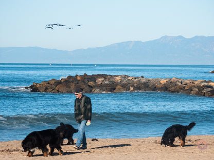 Surf Captures:  2025.01.02 Ventura, California