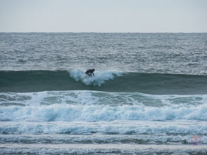 Surf Captures:  2025.01.09 Wickaninnish, Tofino, Canada