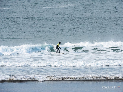 Surf Captures:  2025.02.02 - Super Grom Winter '25 - U10 Boys Semifinal