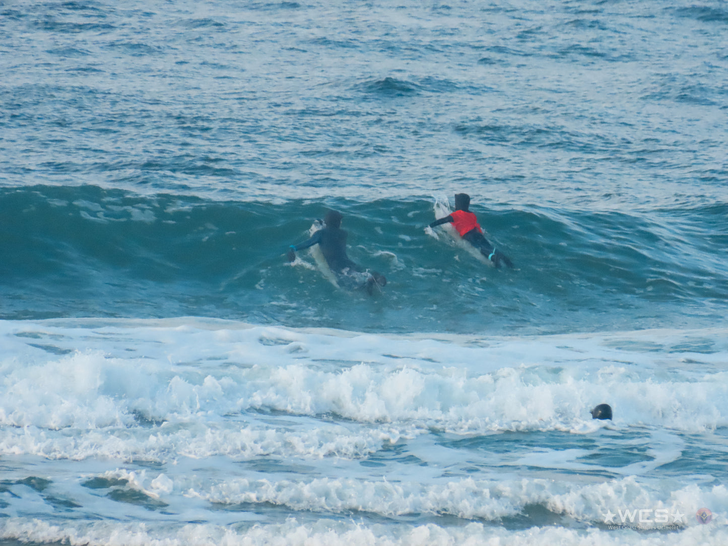 Surf Captures:  2025.02.01 - Super Grom Winter '25 - Dolphins U10 Girls