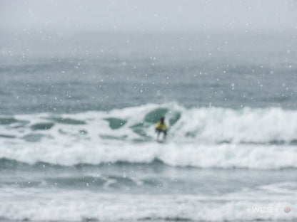 Surf Captures:  2025.02.02 - Super Grom Winter '25 - Open Womens Final