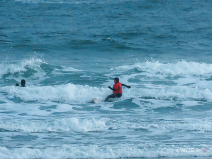Surf Captures:  2025.02.01 - Super Grom Winter '25 - Dolphins U10 Girls