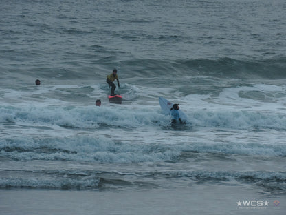Surf Captures:  2025.02.01 - Super Grom Winter '25 - Dolphins U10 Girls