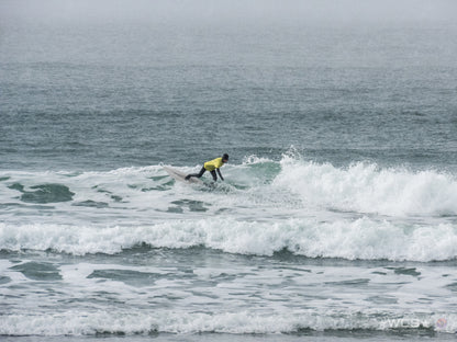 Surf Captures:  2025.02.02 - Super Grom Winter '25 - Open Womens Final