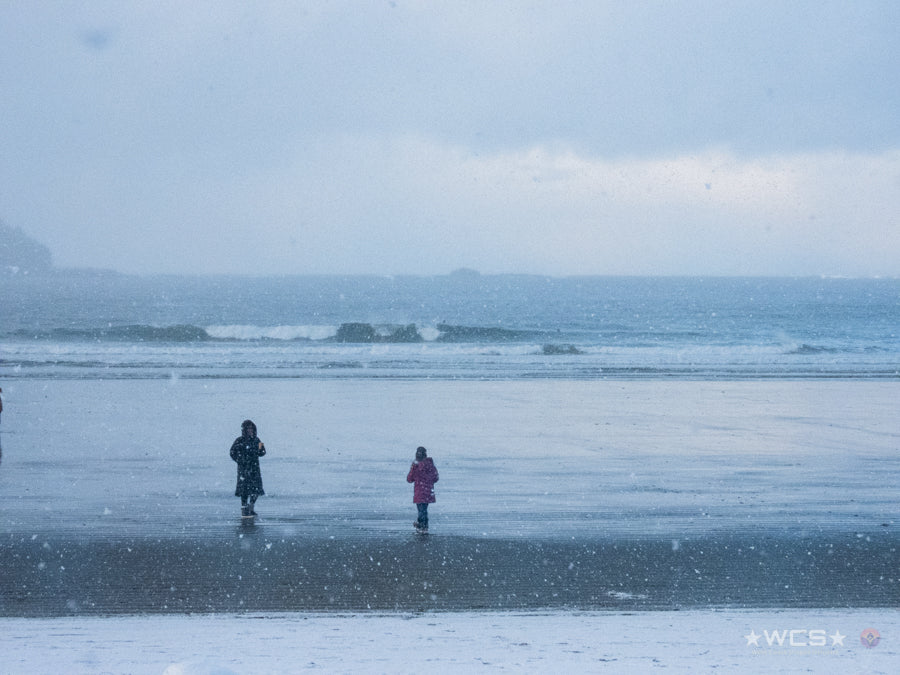 Surf Captures:  2025.02.02 - Super Grom Winter '25 - Open Mens Semifinal