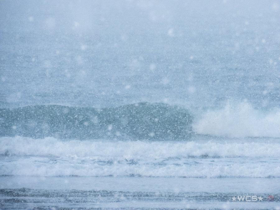 Surf Captures:  2025.02.02 - Super Grom Winter '25 - Open Mens Semifinal