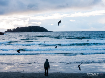 Surf Captures:  2025.02.02 - Super Grom Winter '25 - U10 Girls Final