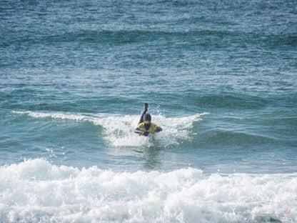 Surf Captures:  2025.02.02 - Super Grom Winter '25 - U18 Mens Final