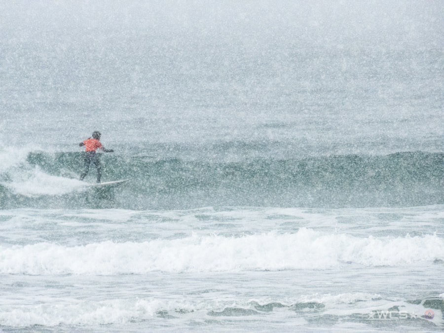 Surf Captures:  2025.02.02 - Super Grom Winter '25 - Open Womens Final