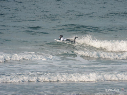 Surf Captures:  2025.02.01 - Super Grom Winter '25 - Dolphins U10 Boys