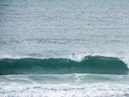 Surf Captures:  2025.02.02 - Super Grom Winter '25 - U10 Boys Semifinal