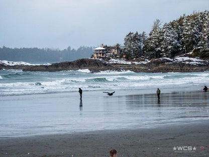 Surf Captures:  2025.02.02 - Super Grom Winter '25 - U10 Girls Semifinal