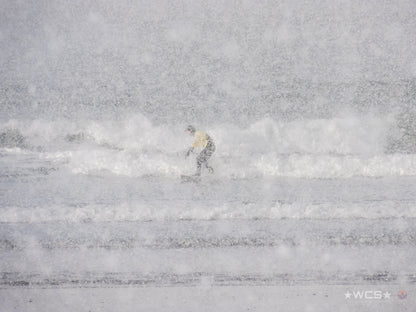 Surf Captures:  2025.02.02 - Super Grom Winter '25 - U12 Girls Semifinal