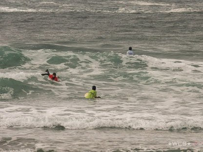 Surf Captures:  2025.02.01 - Super Grom Winter '25 - Mini Grom U12 Boys
