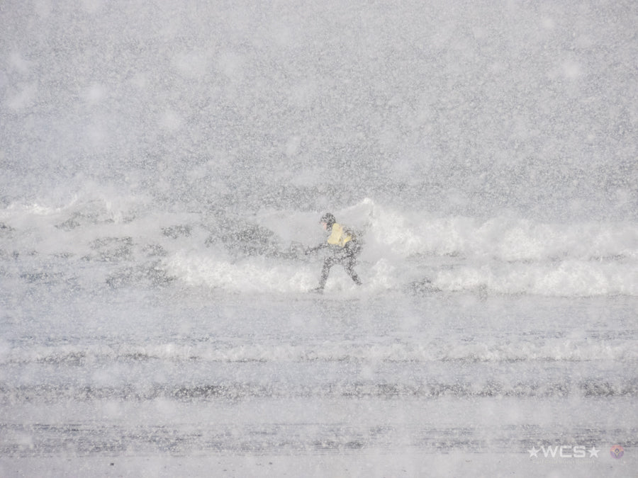 Surf Captures:  2025.02.02 - Super Grom Winter '25 - U12 Girls Semifinal
