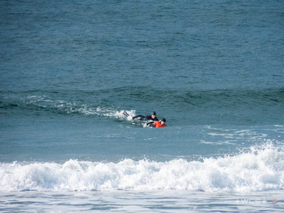 Surf Captures:  2025.02.02 - Super Grom Winter '25 - U10 Girls Semifinal