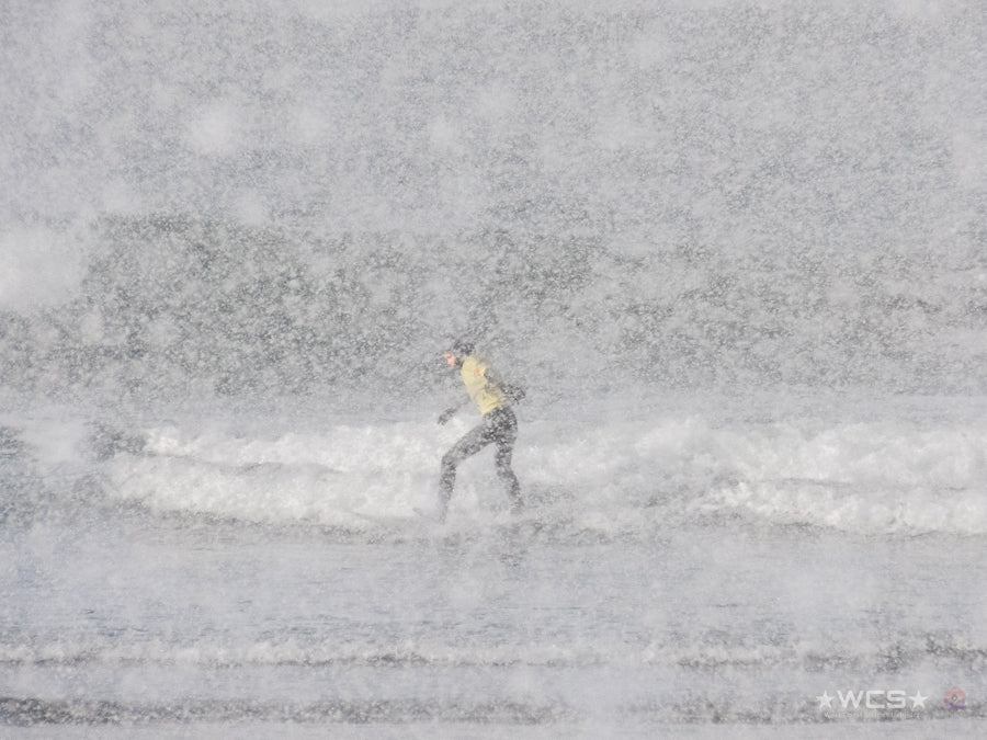 Surf Captures:  2025.02.02 - Super Grom Winter '25 - U12 Girls Semifinal