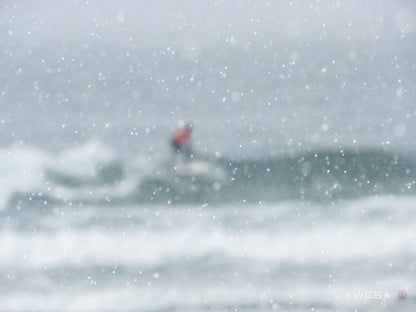 Surf Captures:  2025.02.02 - Super Grom Winter '25 - Open Womens Final
