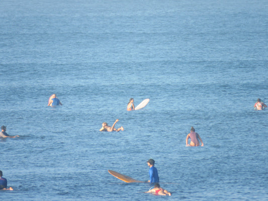Surf Archives:  2021.11.15, Saladita, Mexico