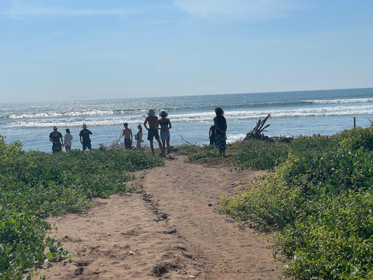 Surf Archives:  2021.11.16, Rancho, Mexico (drone)