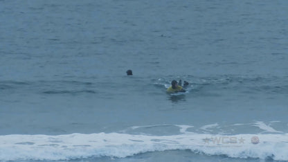Surf Captures:  2025.02.02 - Super Grom Winter '25 - Open Mens Semifinal